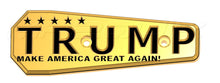 Load image into Gallery viewer, TRUMP MAGA FSI & Presma Skeletonized Fin EndCap Protector